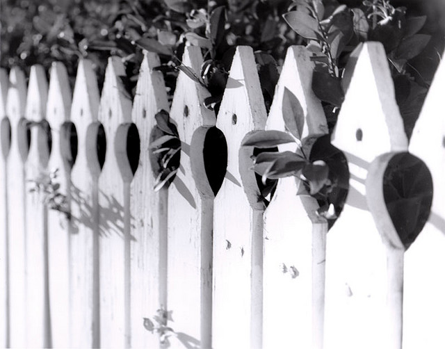 White picket Fence